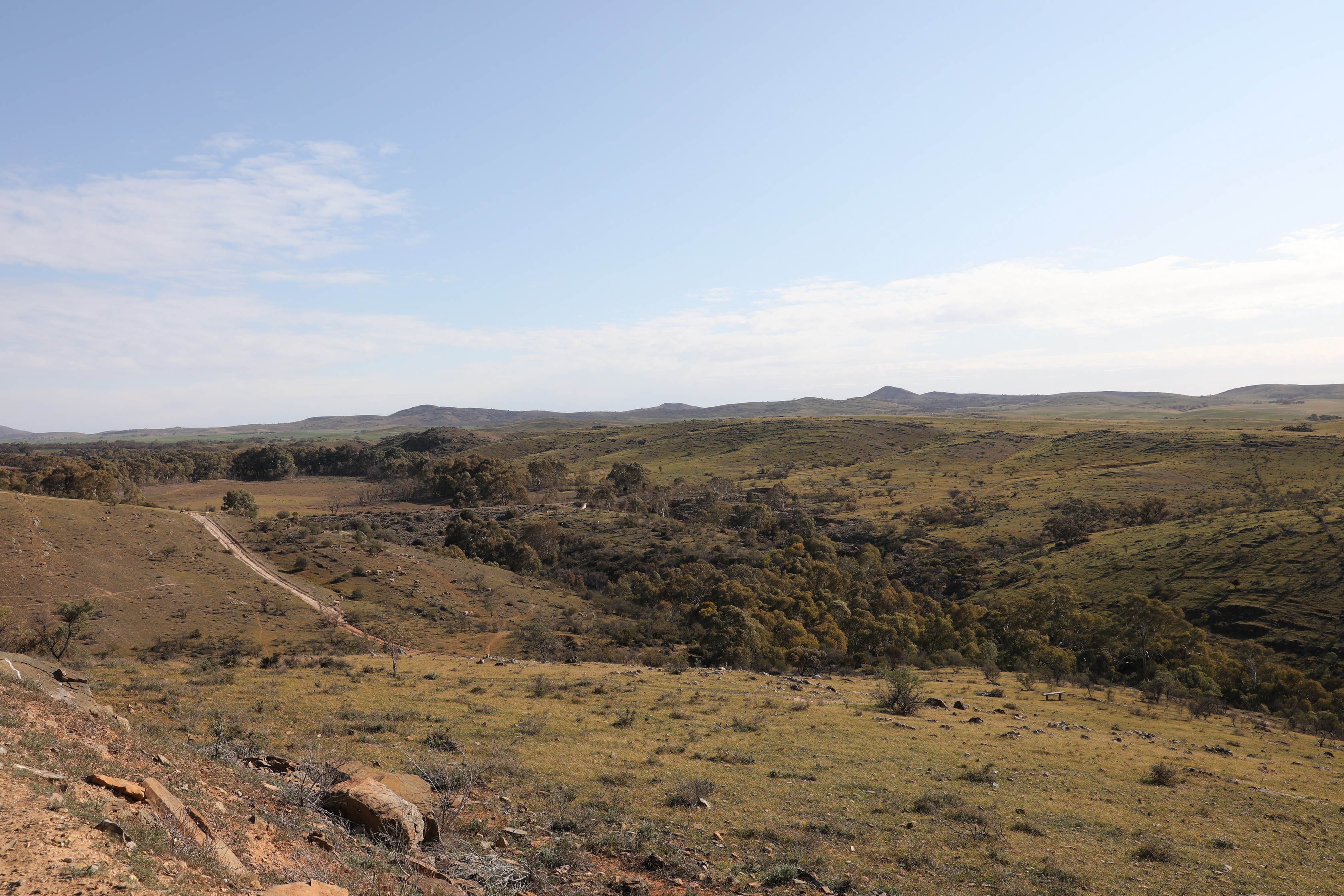 2019 08 31 15 24 50 Canon EOS 5D Mark IV 0016